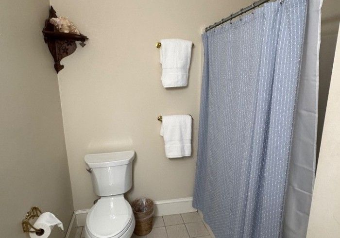 A bathroom with a toilet and a shower curtain