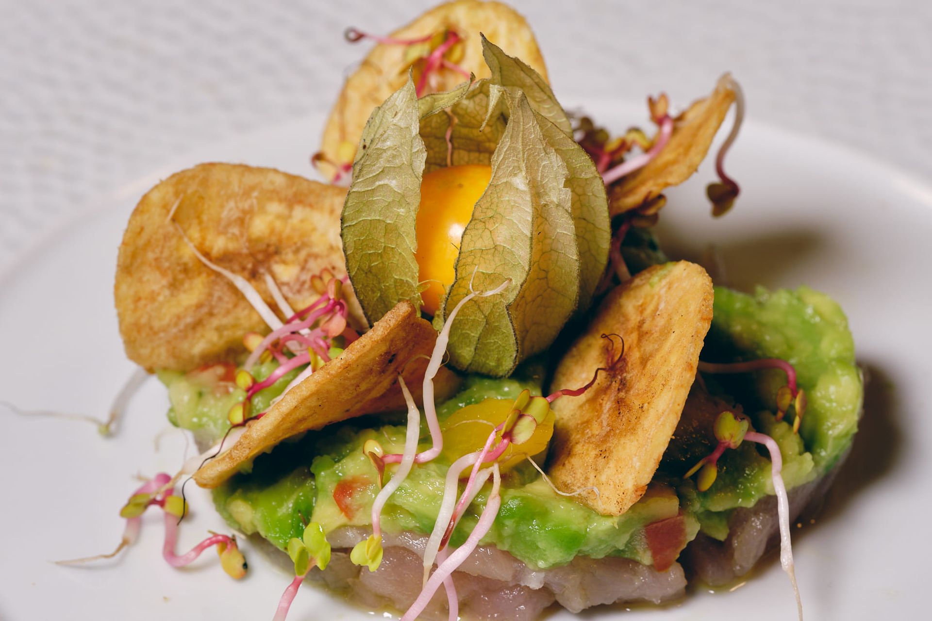 Un piatto gourmet: tartare di tonno a strati con avocado, patatine fritte, microgreens e alchechengi.