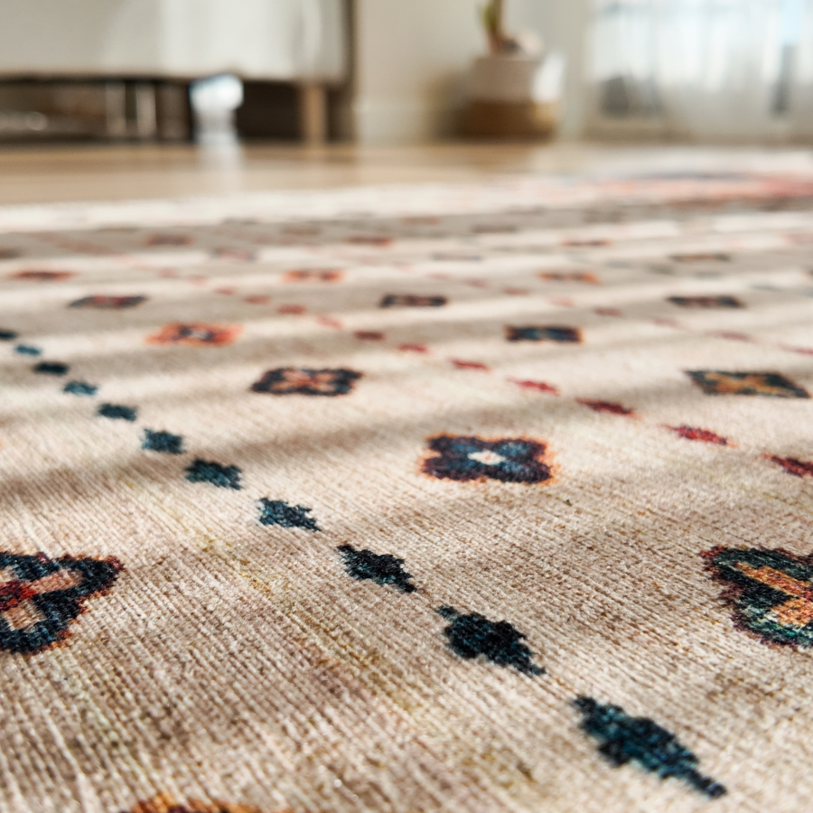 carpet cleaning