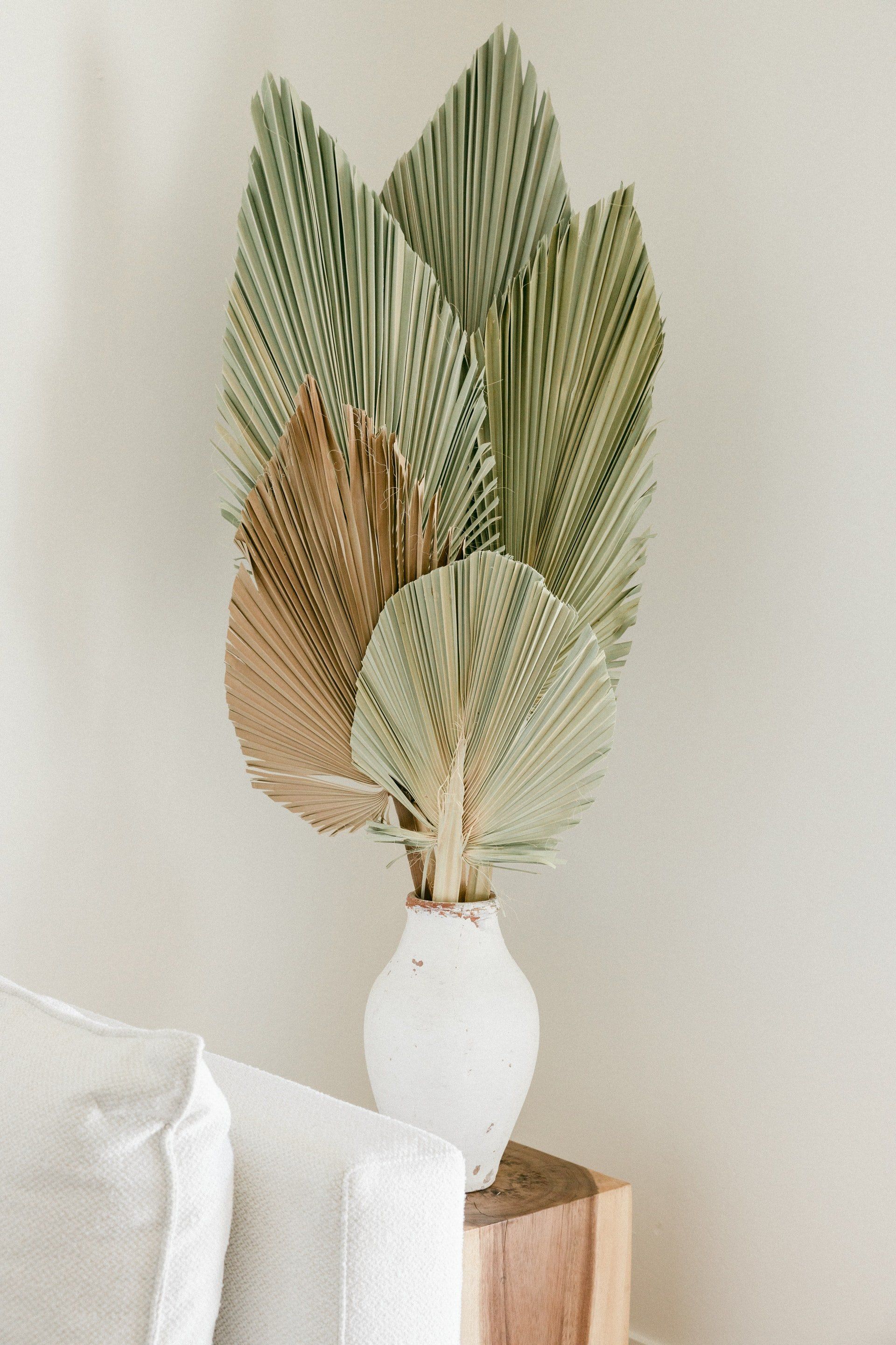 Dried palm leaves in white vase on a wooden block. Neutral beige setting.