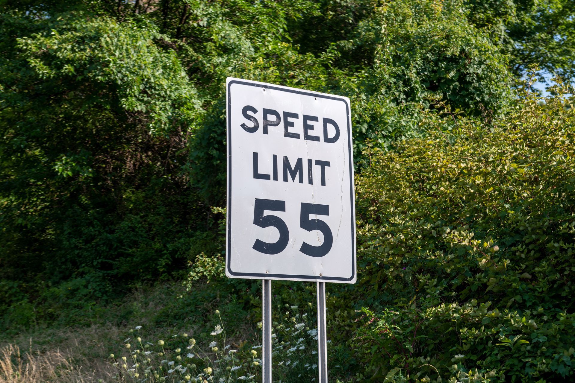 Speed limit 55 sign beside a wooded roadside