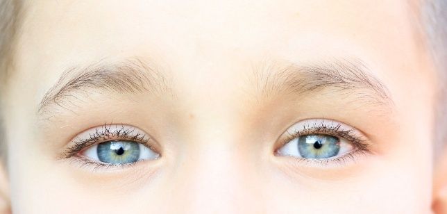 Close-up of a person's blue eyes and eyebrows against a bright background
