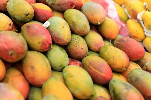 Mound of ripe mangoes in shades of green, yellow, and red at a market stall