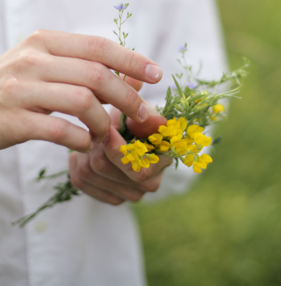Hands holding a sprig of small yellow flowers against a soft green background
