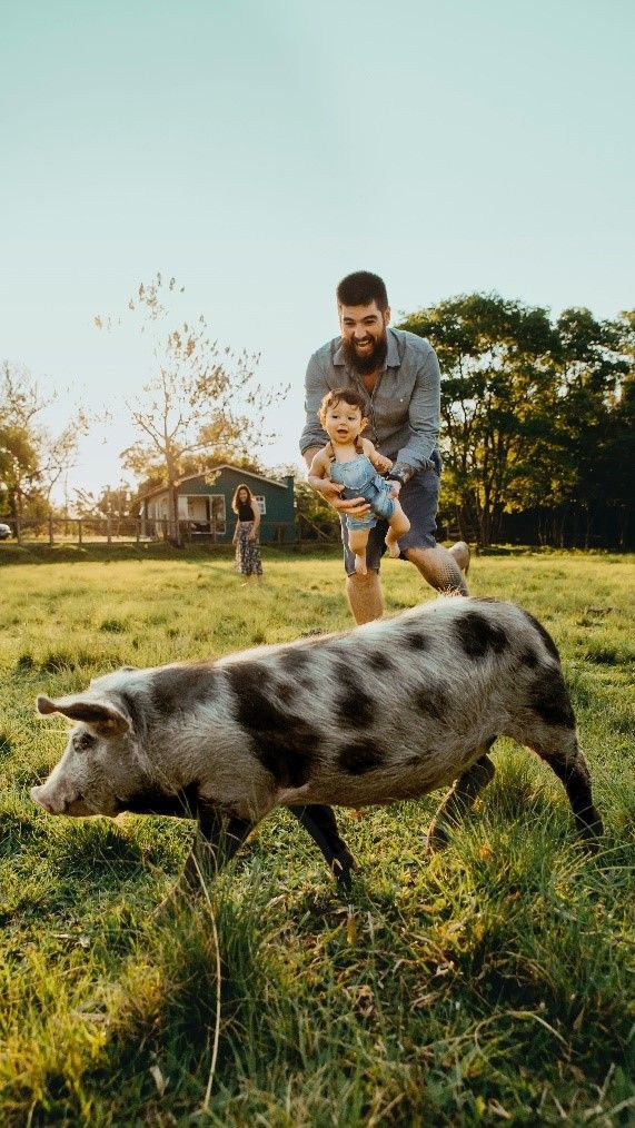 A man and a child are holding a pig in a field.