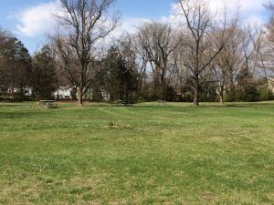 Harlan Park