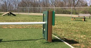 Dog Park View