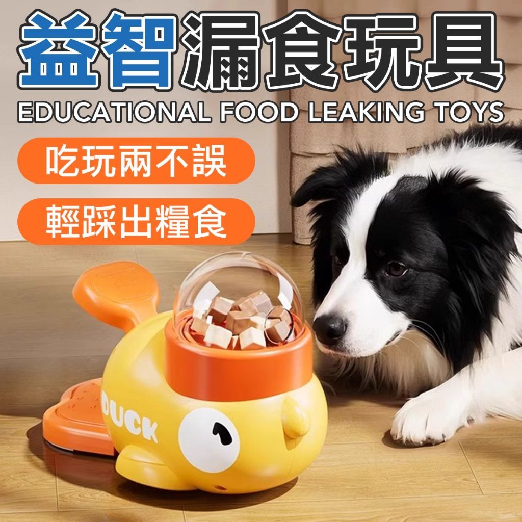 寵物餵食玩具