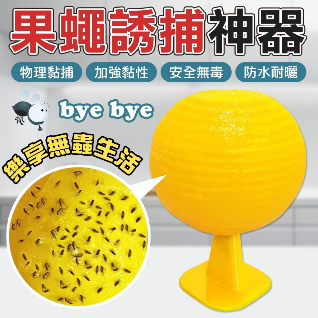 果蠅誘捕器 果蠅 蒼蠅 蚊蟲 小黑蚊 誘蠅球 捕蠅球 捕蚊 果蟲誘捕器 防蚊蟲