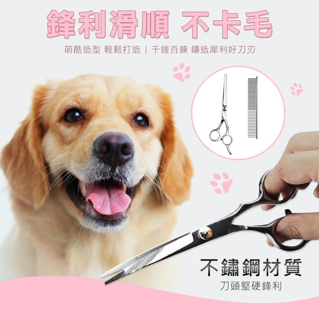 寵物美容 修剪4件組 剪刀 梳子 指甲剪 磨甲器 銼刀 狗狗剪刀 剃刀