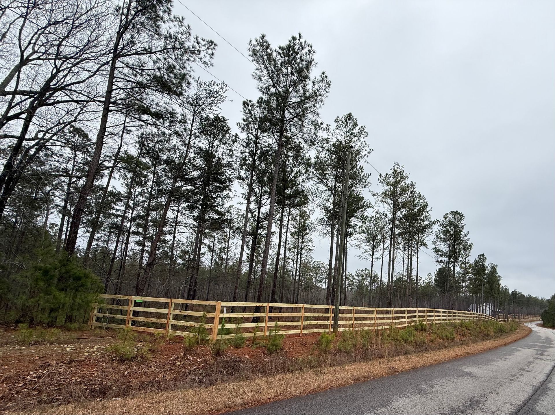 Wooden fence along a gravel road beside tall pine trees under an overcast sky