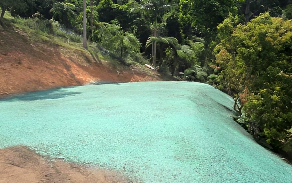 A sloped hillside area covered in green hydroseeding mulch, next to a wooded forest and an exposed red soil bank — East Coast Hydroseeding in Cooperabung, NSW