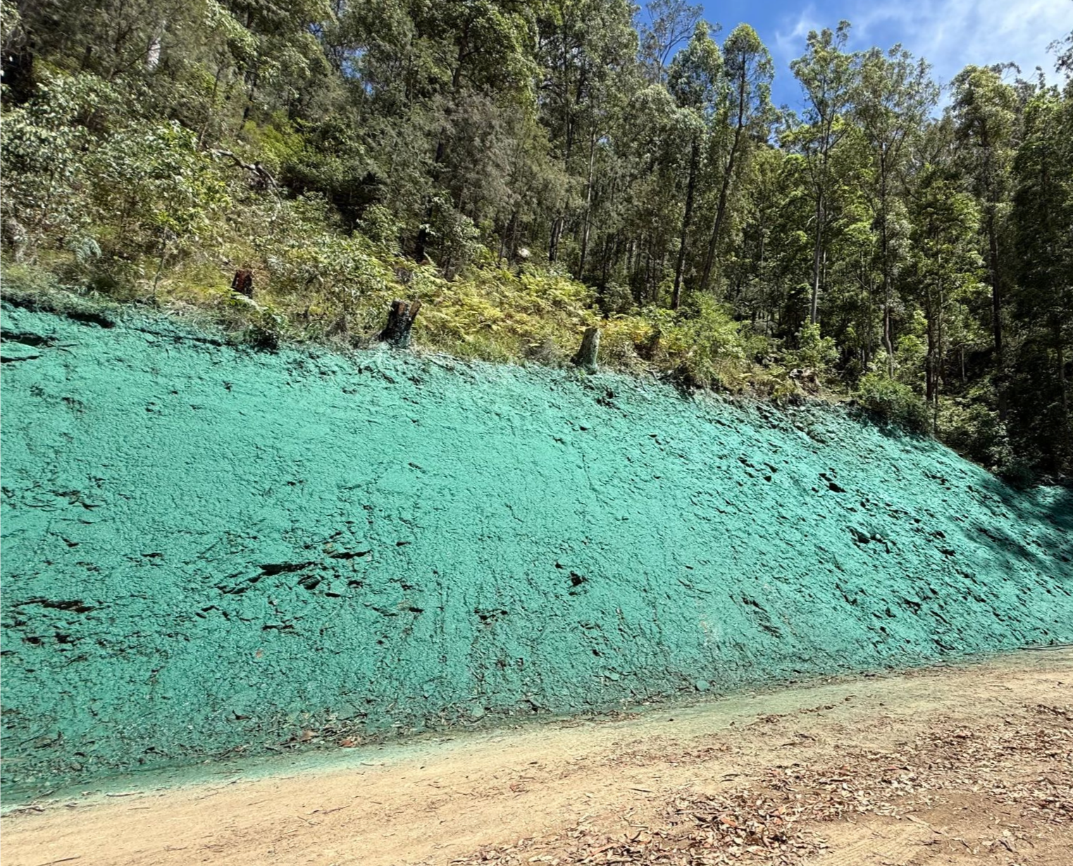A steep, dirt hillside coated in bright green hydroseeding material next to a sandy road with a forest in the background — East Coast Hydroseeding in Cooperabung, NSW