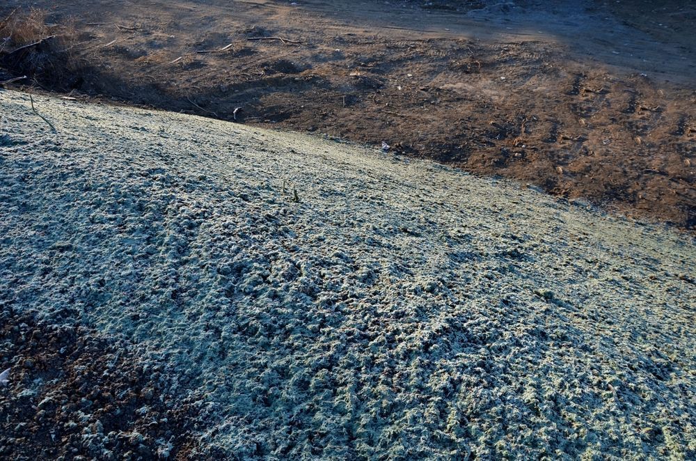 Close-Up of A Sandy Surface Covered by A Grid-Like Mesh — East Coast Hydroseeding in Kempsey, NSW