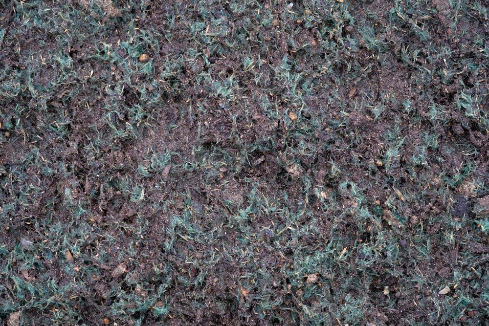 Close-Up of Dark Soil, Mixed with Teal-Coloured Mulch or Treatment — East Coast Hydroseeding in Cooperabung, NSW