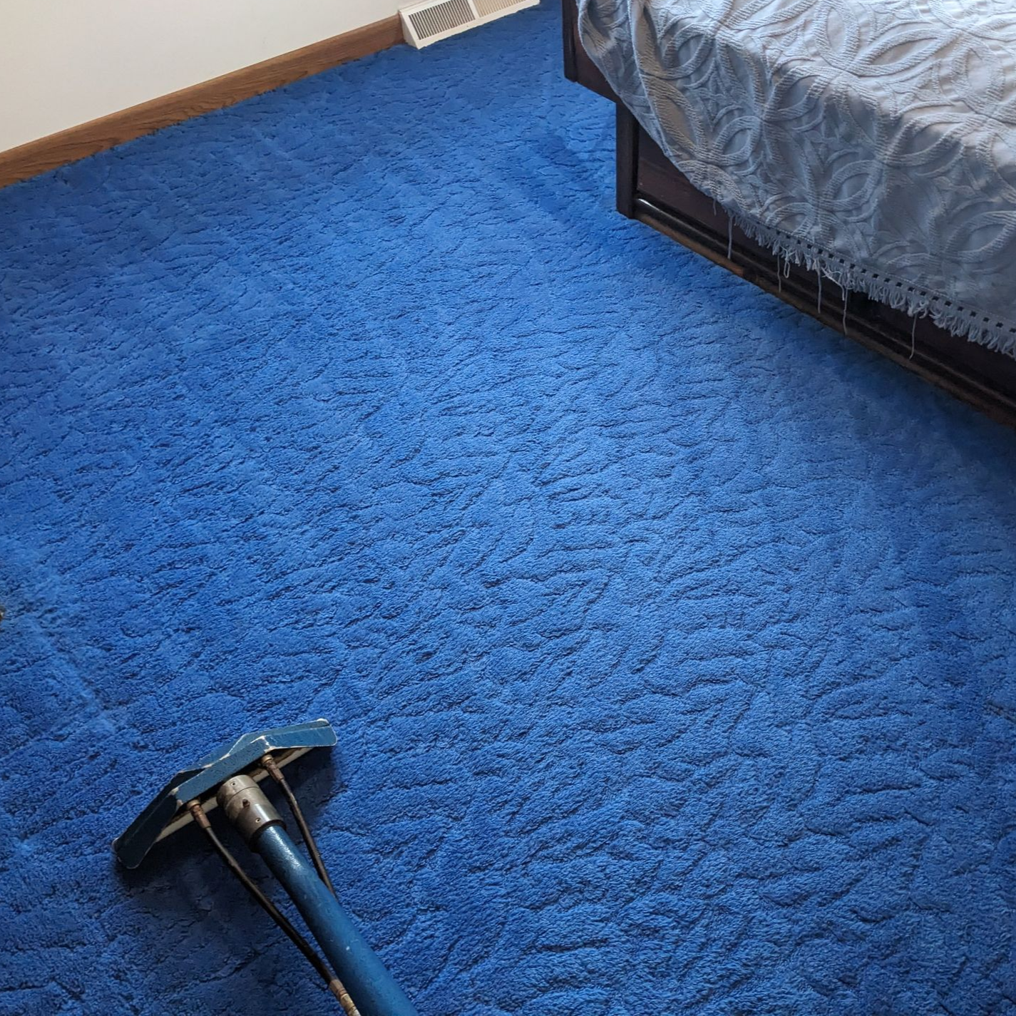 blue cleaned carpet