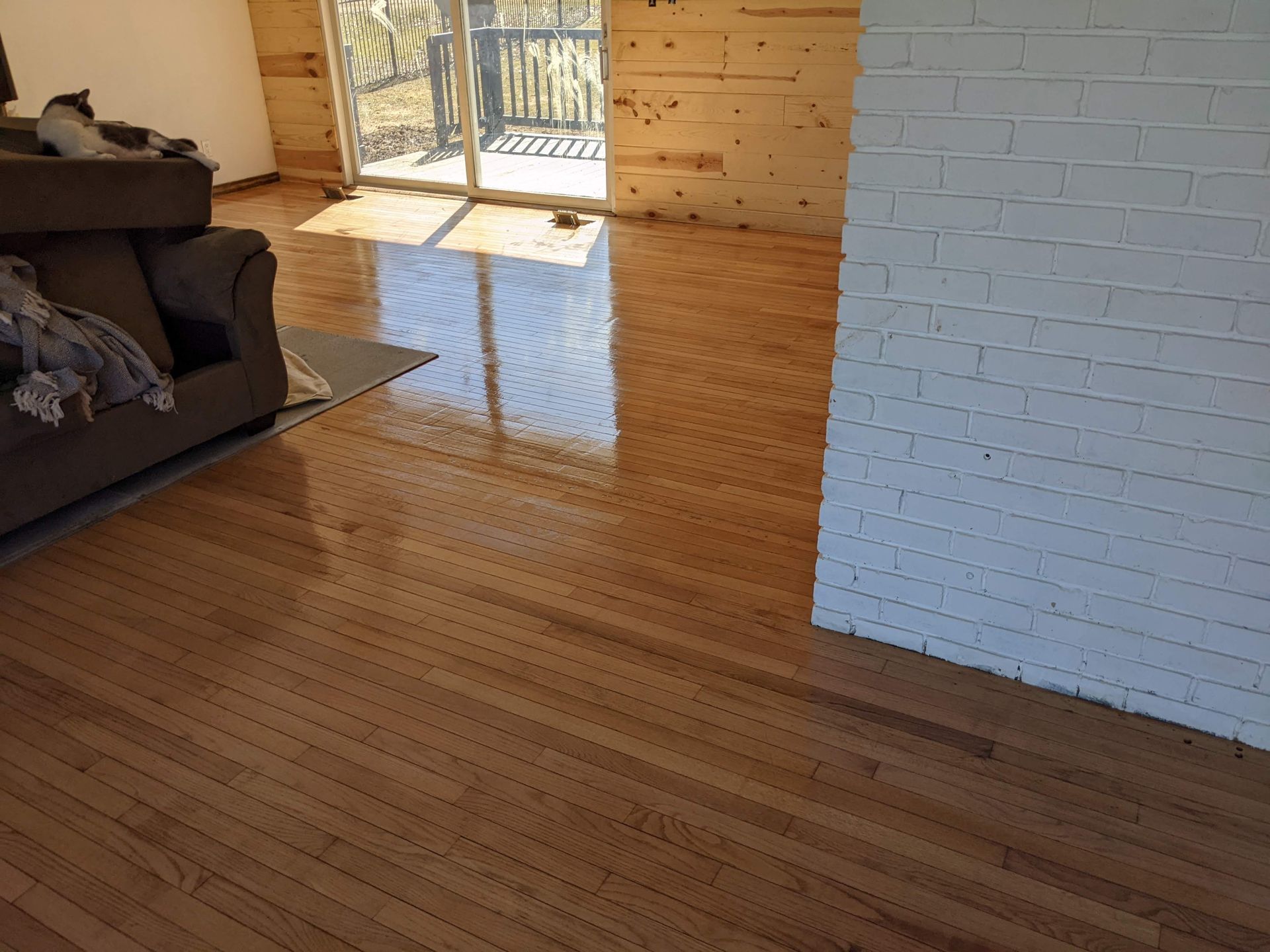 wood floor with reflections