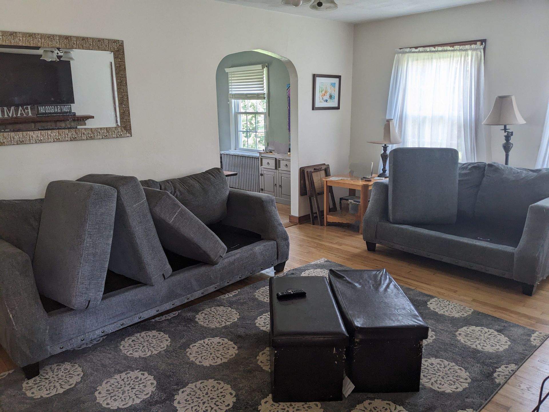 cleaned couch with cushions propped up to help dying