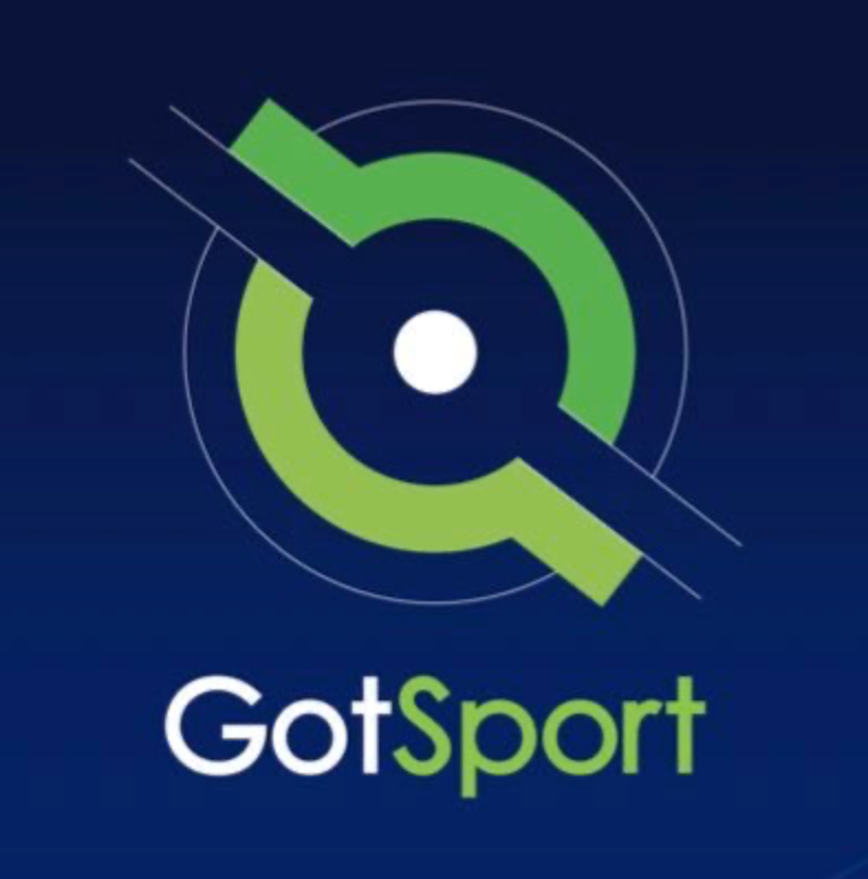Logo for Traveling Sports Teams