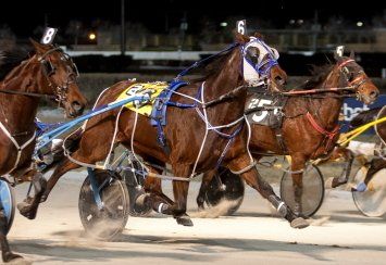 A horse with the number 25 on the back of it