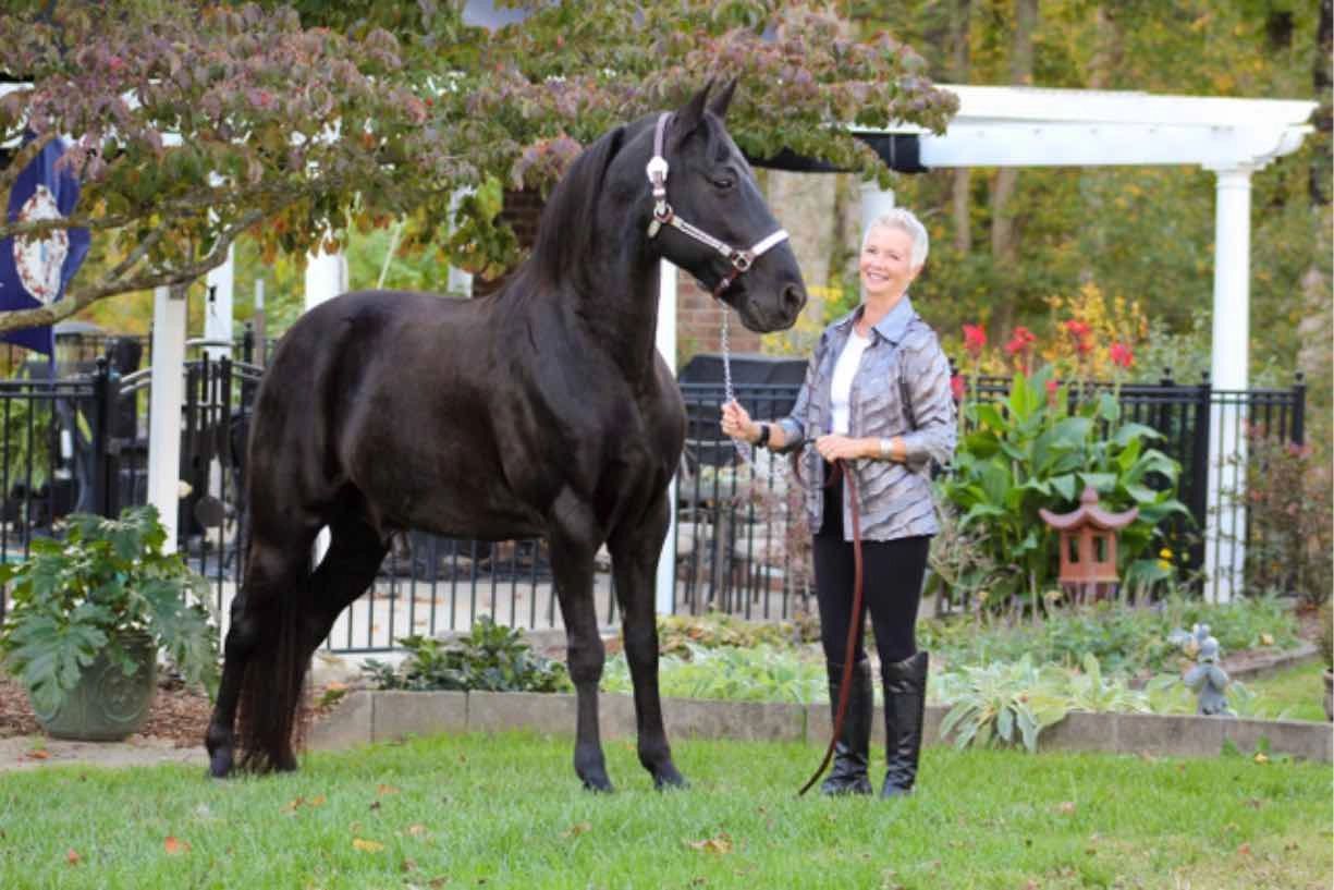 A woman is standing next to a black horse in a field.