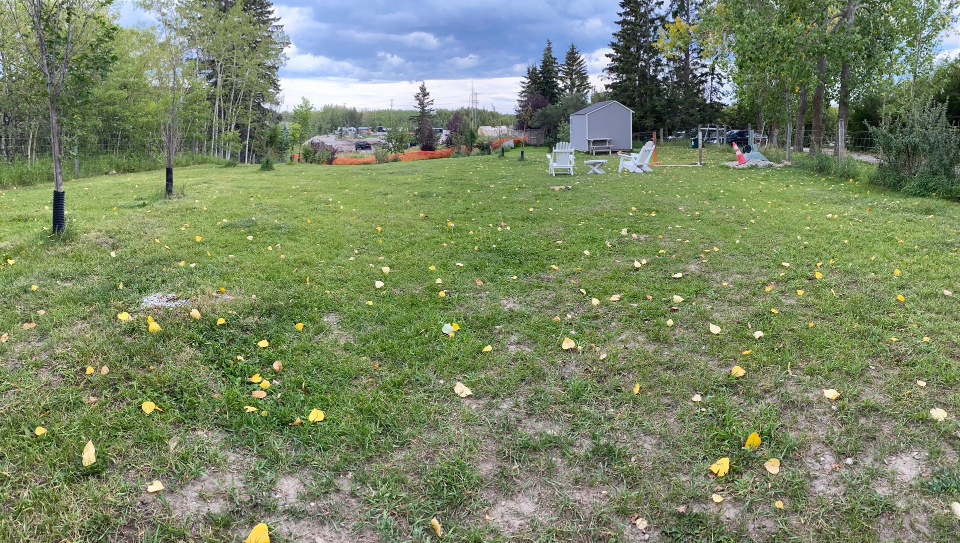 Dog Daycare in Calgary