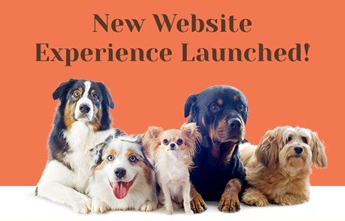 Welcome To Our New Website!