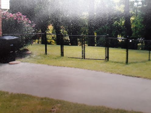Concrete patio leads to a chain-link fence enclosing a grassy yard. A flowering bush and trees are in the background.
