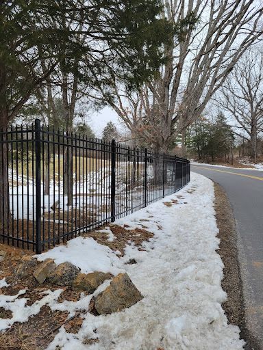 Black metal fence bordering a snowy roadside, with trees in the background.