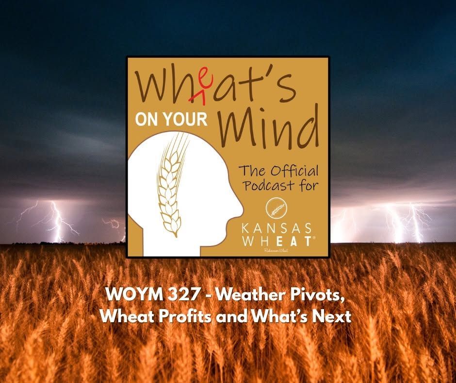 Weather Pivots, Wheat Profits, and What’s Next