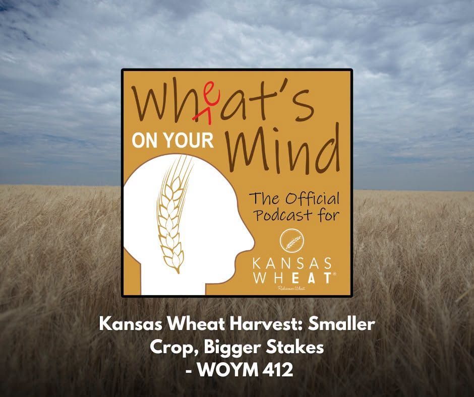 Kansas Wheat Harvest: Smaller Crop, Bigger Stakes