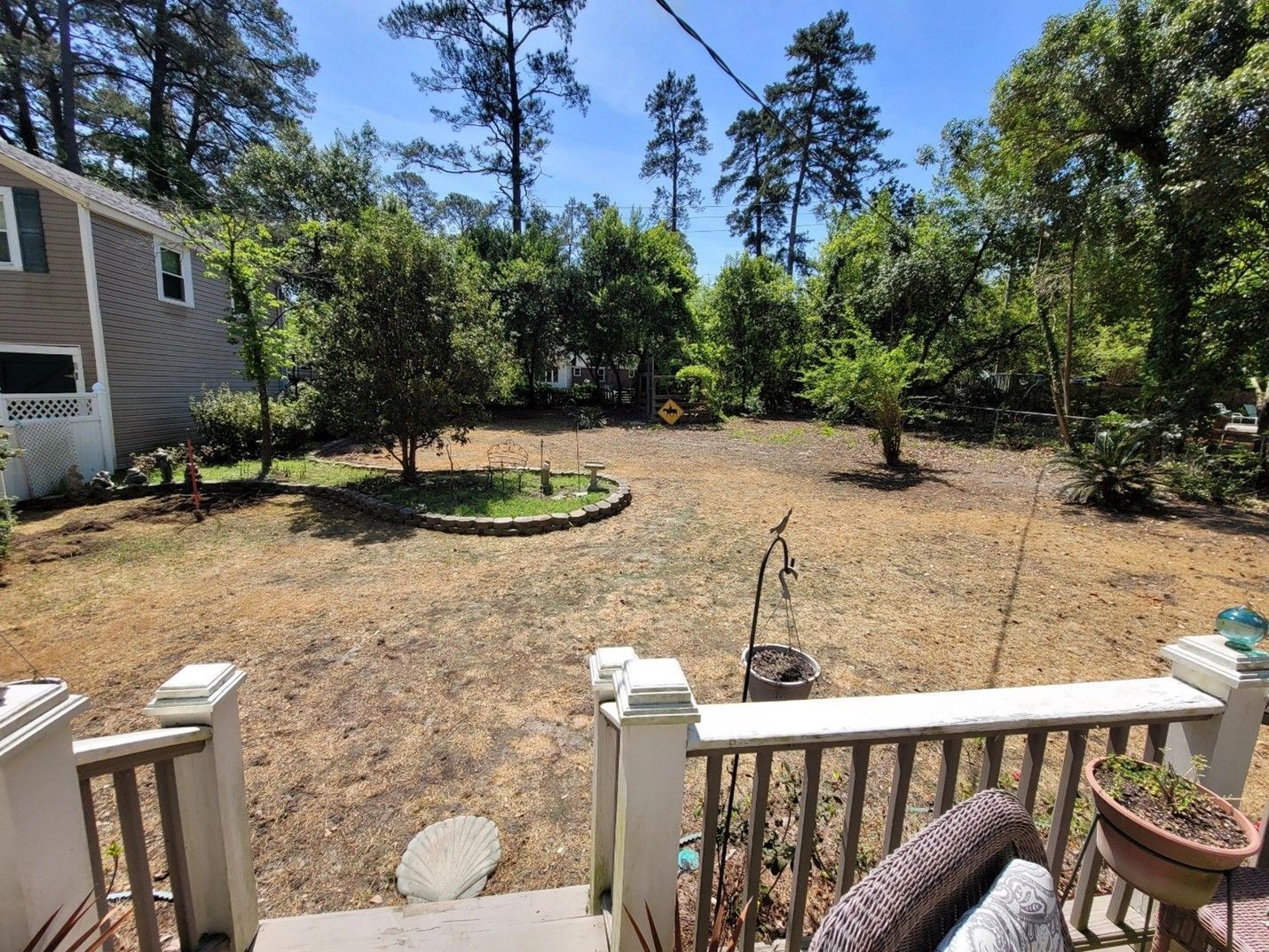 before image of a house backyard with growing trees