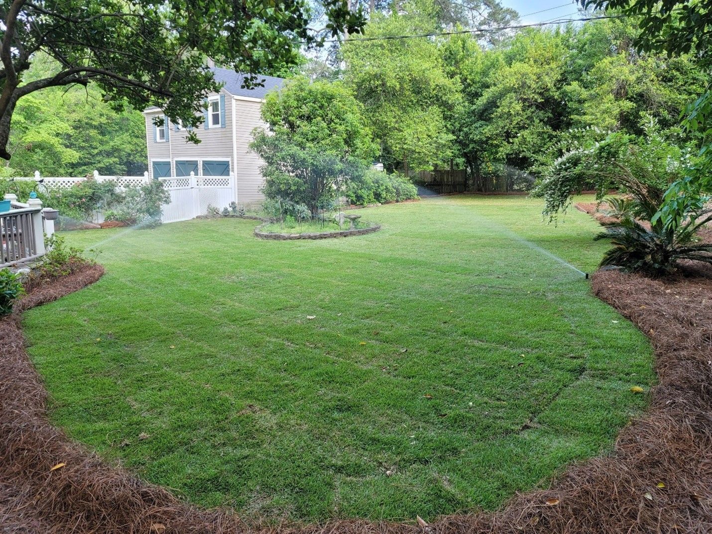 after image of a house backyard with lush greeneries and a sprinkler system