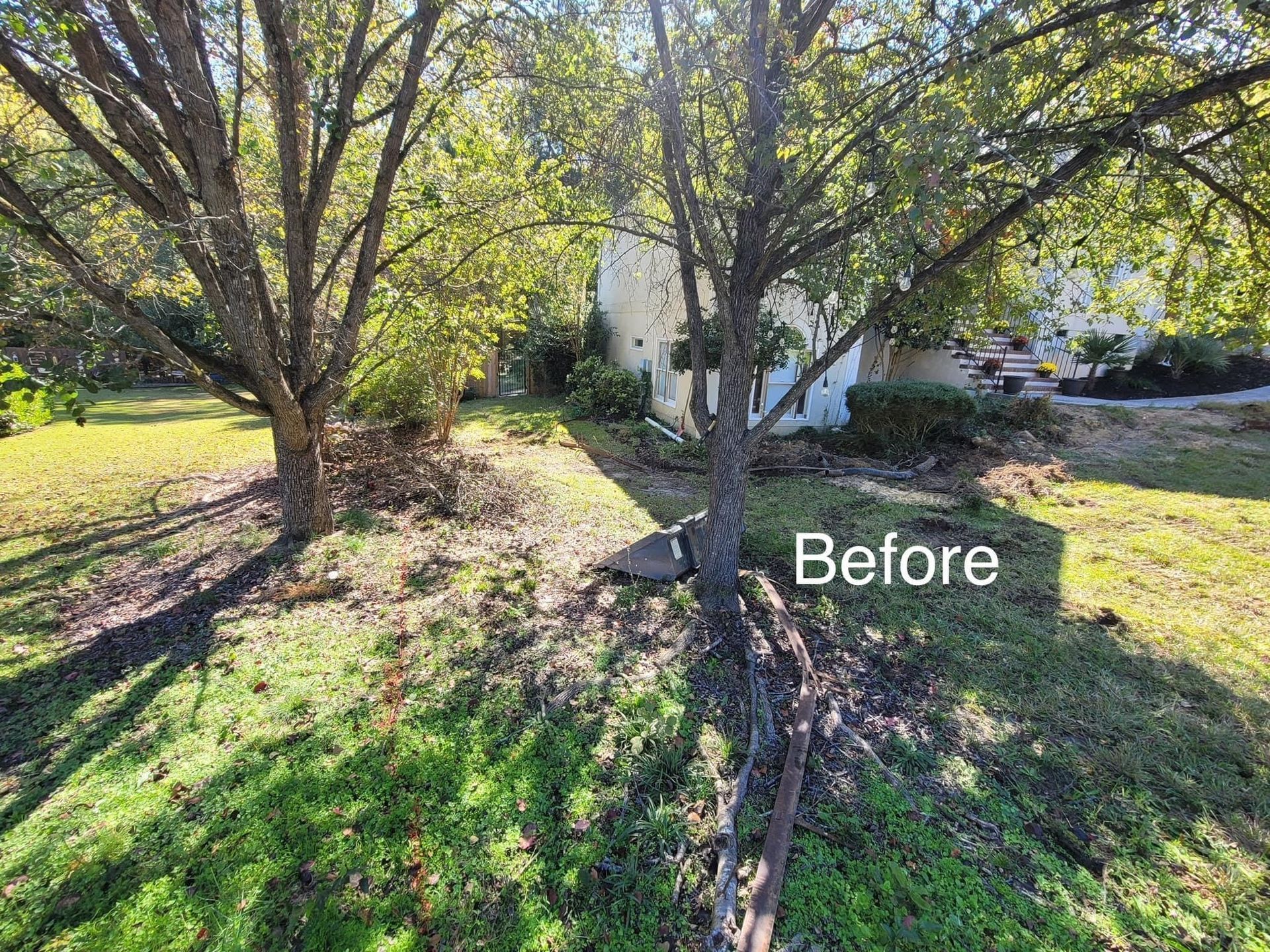 young trees in front of a house
