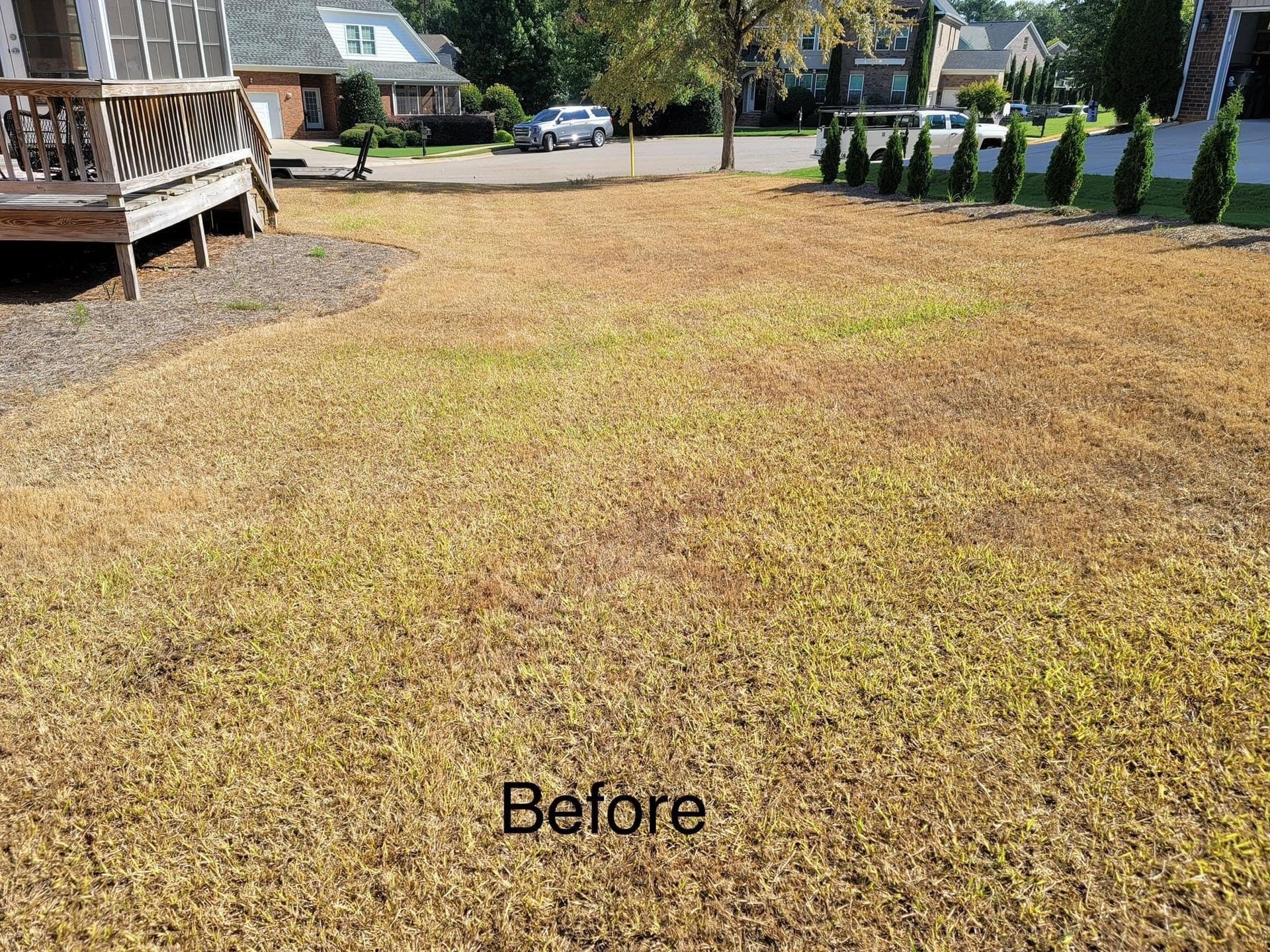 house exterior with dull dried up landscape