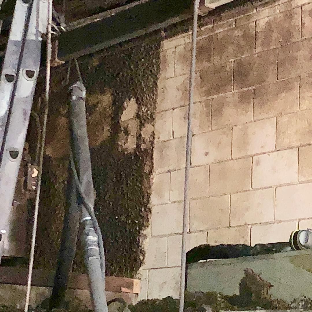 A large, dense swarm of bees clings to a vertical surface next to light-colored concrete blocks and construction equipment.
