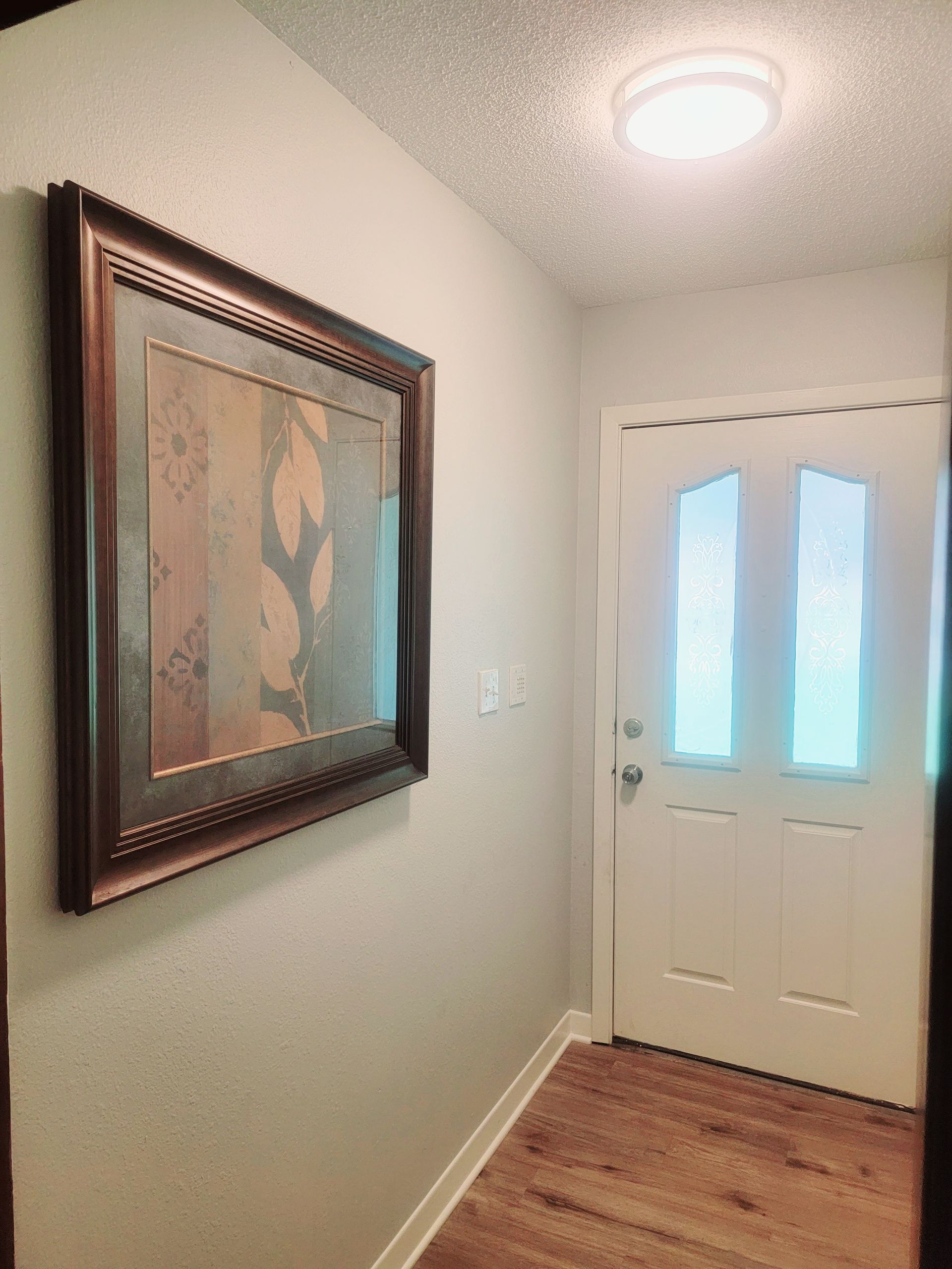 A framed nature art piece hangs on a light gray wall next to a white door with glass panels in a brightly lit hallway.