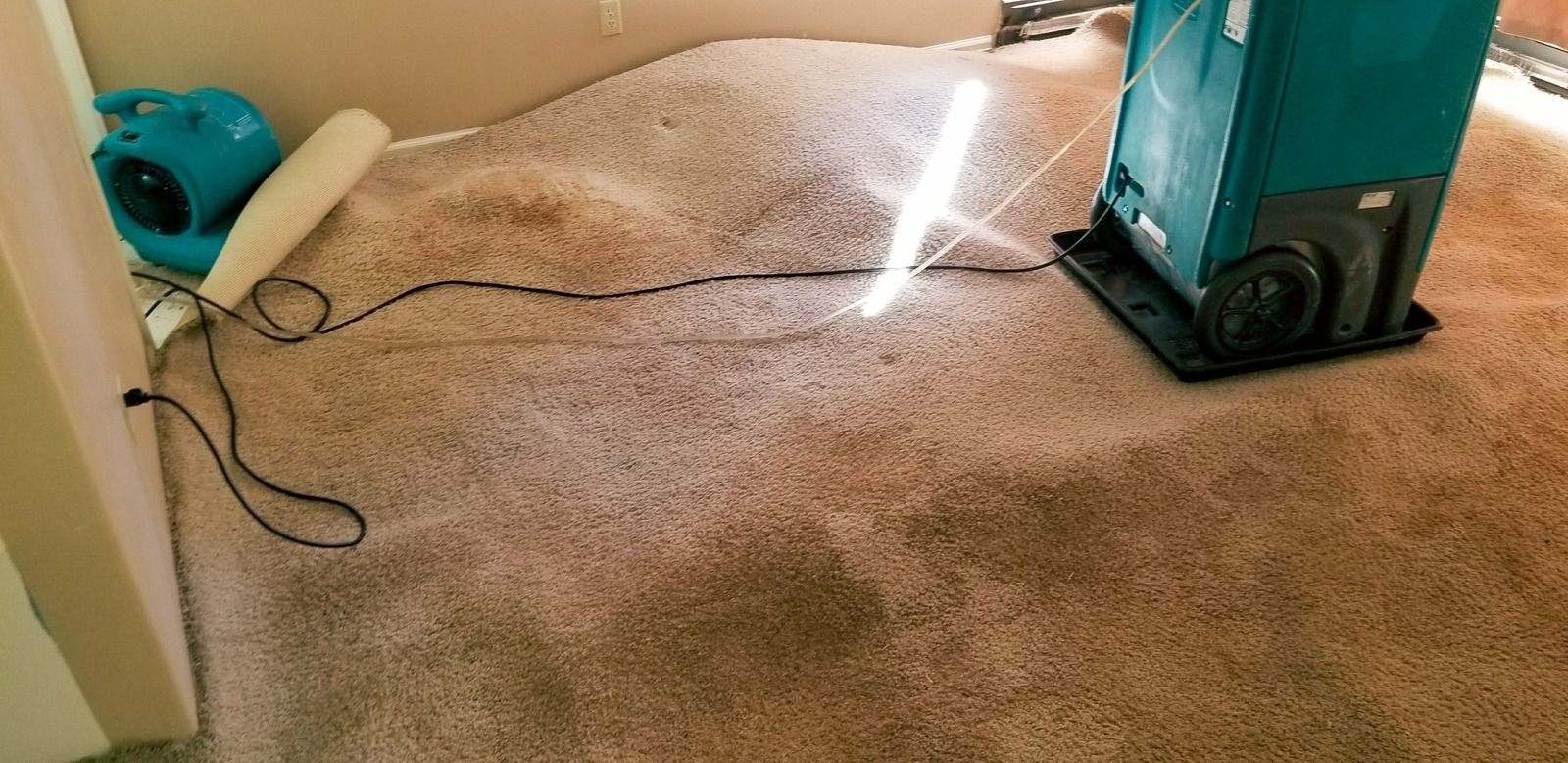 A teal commercial dehumidifier and floor fan dry damp, stained carpet in a room.