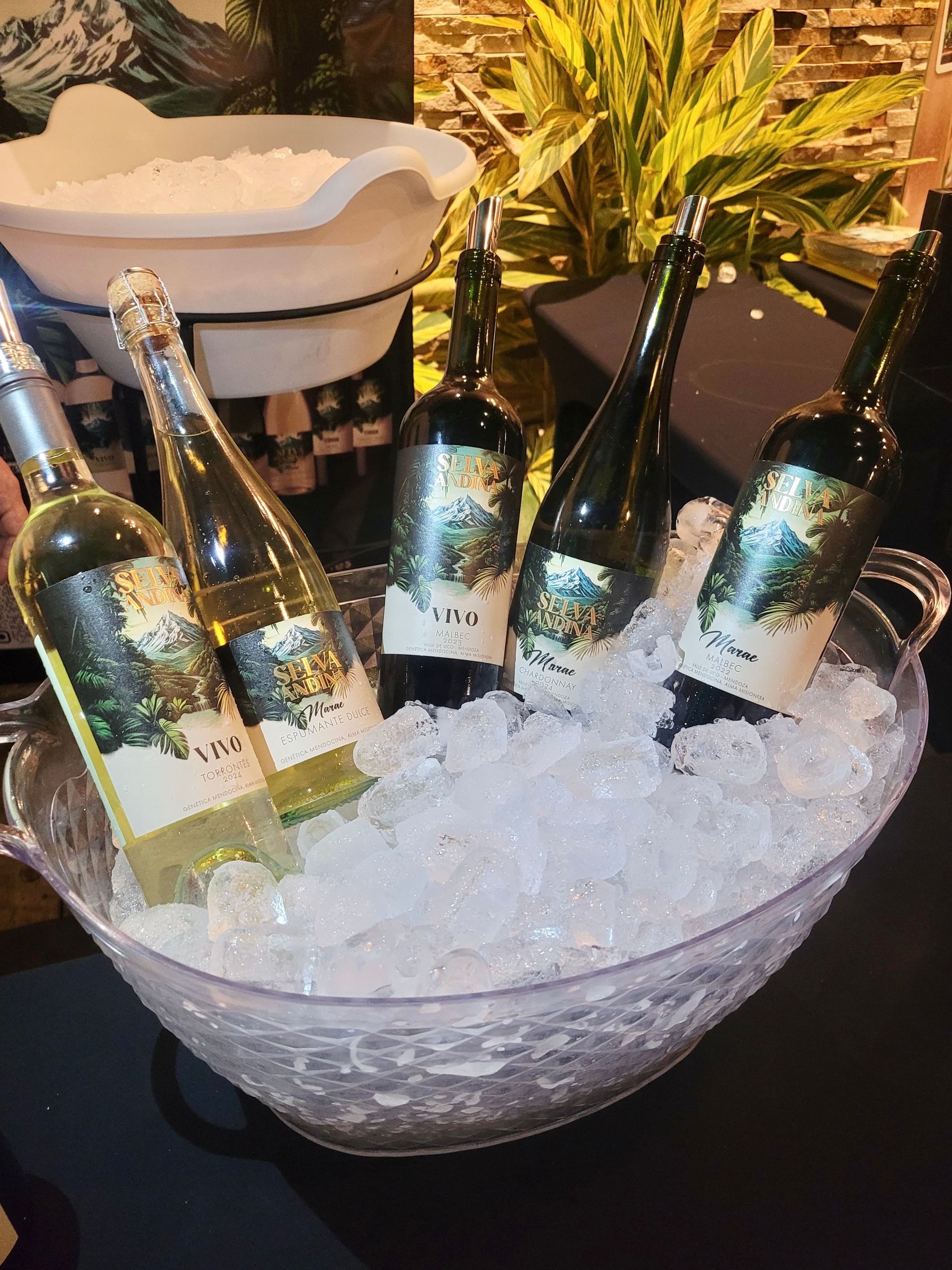 Botellas de vino enfriándose en hielo dentro de una tina de plástico transparente. Una botella de vino es visible 