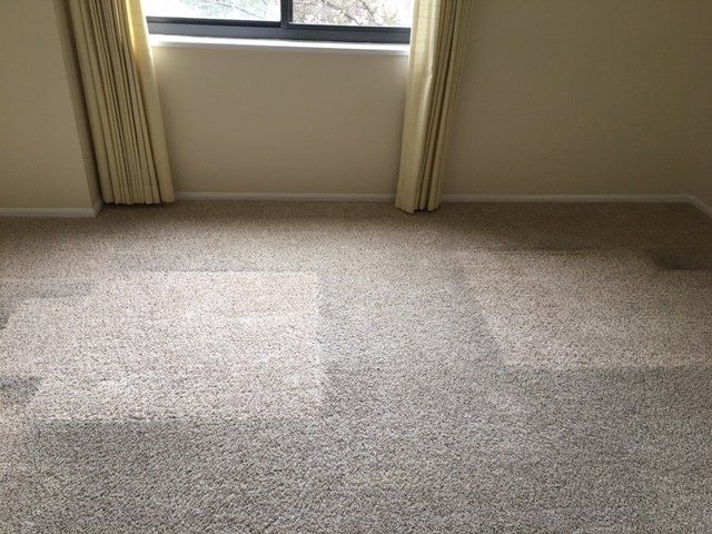 Empty room with beige carpet, a window, and beige curtains.