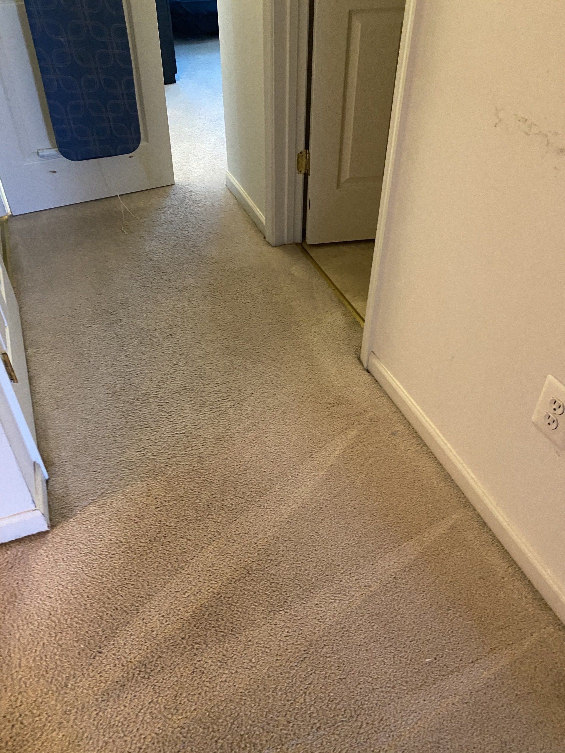 Beige carpeted hallway with doorways, white walls, and baseboards.