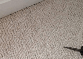 Graft Patching After — Germantown, MD — Father & Son Carpet Cleaning & Repair