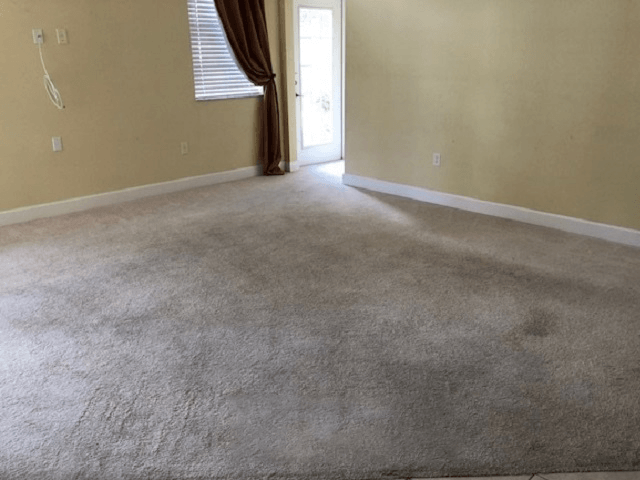 Empty room with beige carpet and walls, a window with blinds, and a door.