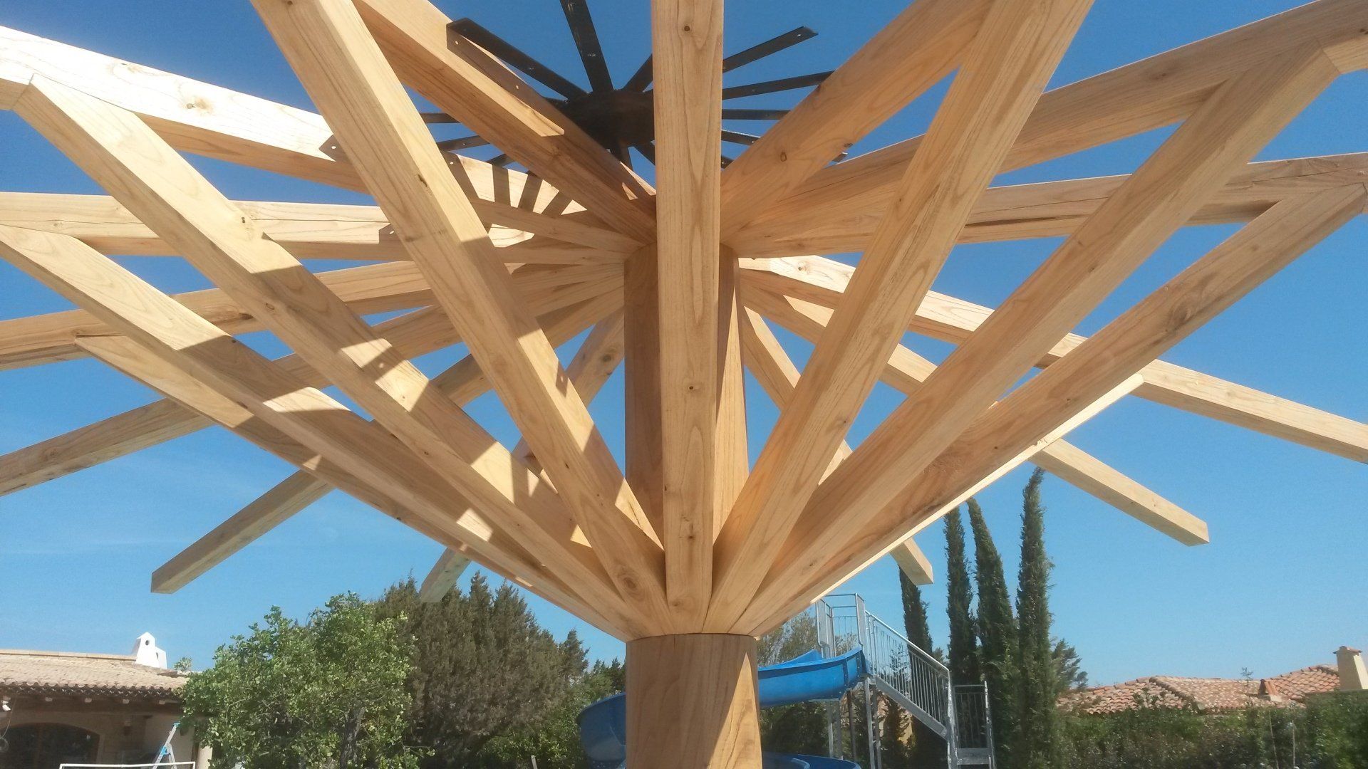 albero legno