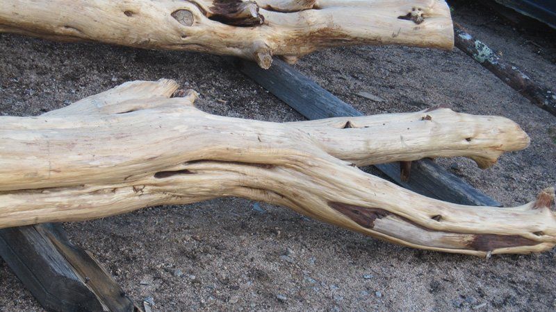 legno ginepro