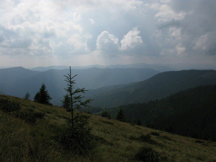 Ekspedīcija uz Karpatiem