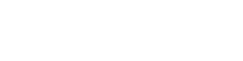 Blank white rectangle with a thin black border along the top and bottom edges