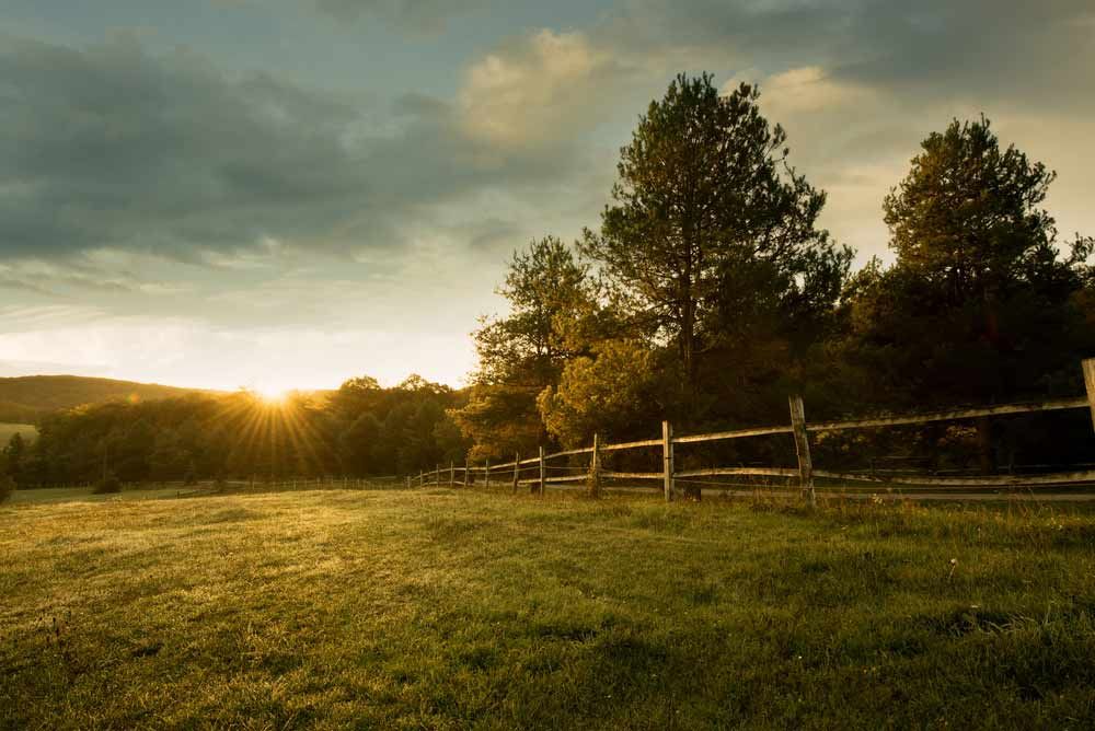 The Sun is Shining Through the Trees in a Field With a Wooden Fence — Osborne Fencing in Burradoo, NSW