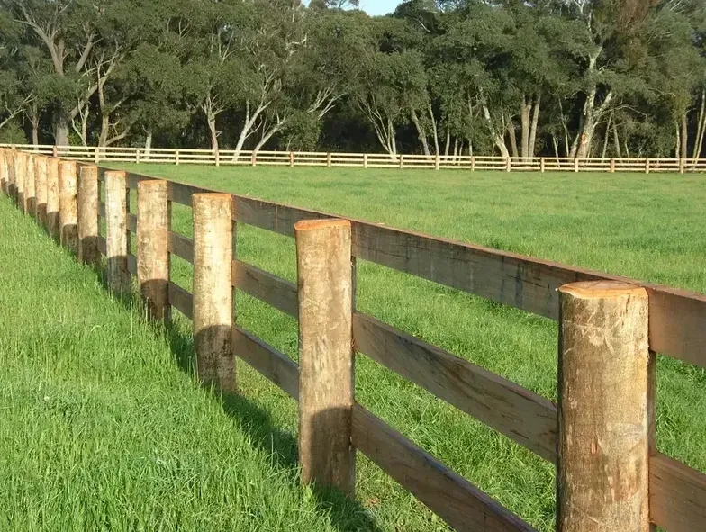 A Post & Rail Fence Surrounds a Lush Green Field — Osborne Fencing in Bundanoon, NSW