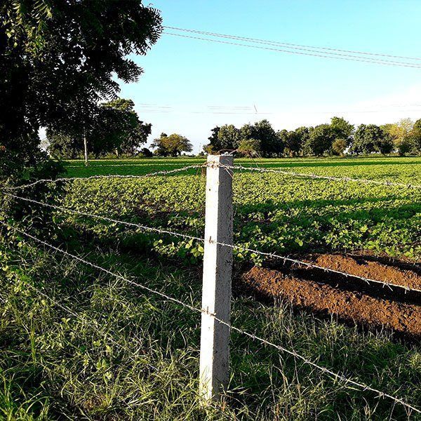 A Barbed Wire Fence Surrounds a Lush Green Field — Osborne Fencing in Robertson, NSW